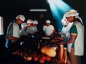 Teresa Projekt